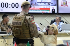 Audiencia-Publica-Causa-Animal-1