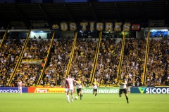 Criciuma-2-x-0-Hercilio-Luz-5