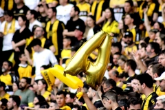 Criciuma-3-x-0-Botafogo-SP-15