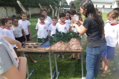 Projeto preservação de rios (2)