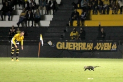 Analise-do-Estadio-Heriberto-Hulse-4