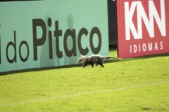 Analise-do-Estadio-Heriberto-Hulse-5