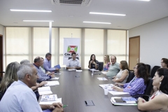 Reunião com deputada federal Geovânia de Sá - Foto Émerosn Justo (6)