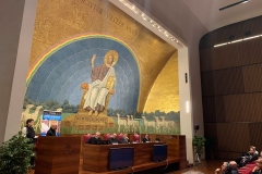 sant (11)