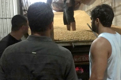 Apreensao-maior-tonela-da-maconha-2