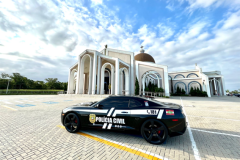 Divulgacao-PC-3