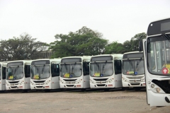 ônibus-foto-Maria-Henrique-Leandro-1