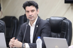 Delegado-Ulisses