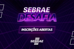 Sebrae-Desafia-2
