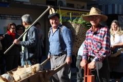 Desfile-2018-2